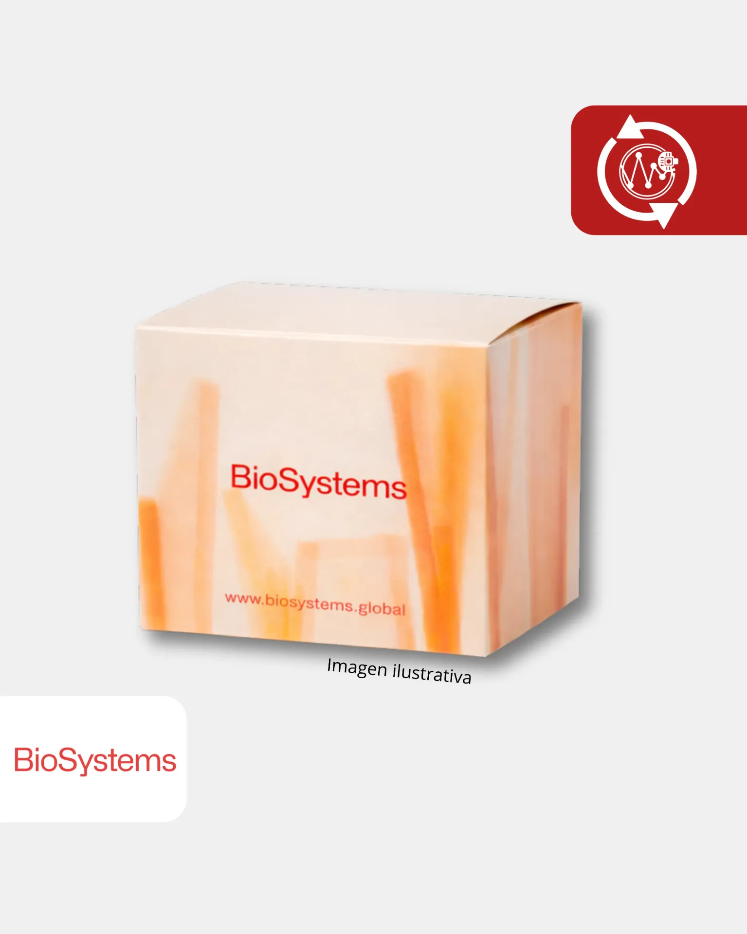 [13082] 13082 INMUNOGLOBULINA A 1x50   ML/KIT50